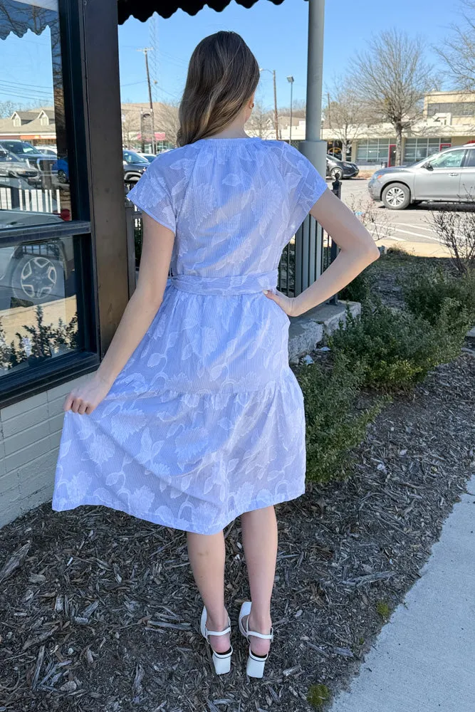 Spring Stripes Embroidery Midi Dress-Light Blue